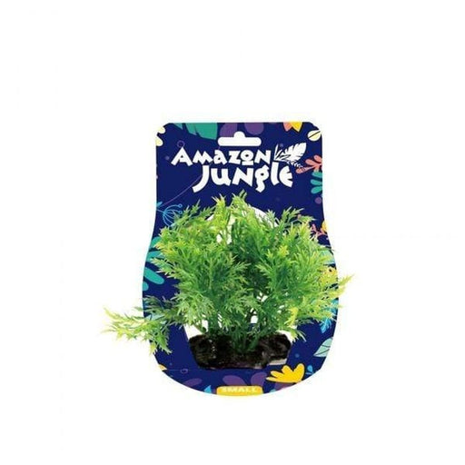 Amazon Jungle Wisteria Bunch Display 10-12cm - Aquatic Supplies Australia