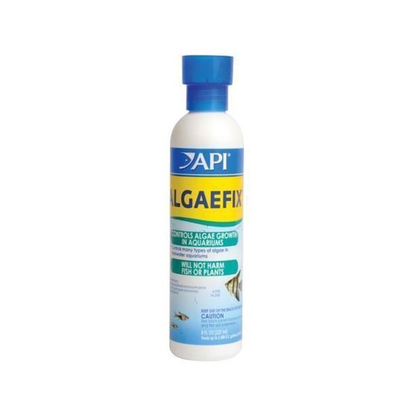 Aquarium Algae Control