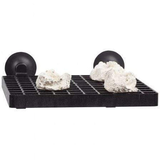 Aqua Medic Frag Board (with 10 Coral Pins) - Aquatic Supplies Australia
