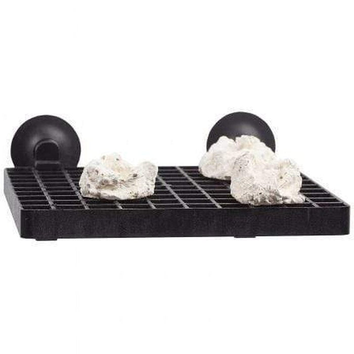 Aqua Medic Frag Board (with 10 Coral Pins) - Aquatic Supplies Australia