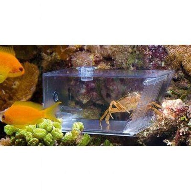 Aqua Medic Trap Pest - Aquatic Supplies Australia