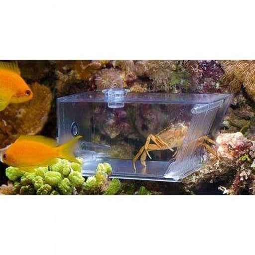 Aqua Medic Trap Pest - Aquatic Supplies Australia