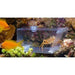 Aqua Medic Trap Pest - Aquatic Supplies Australia