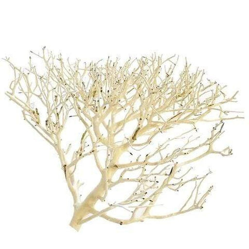 Aqua Natural Coral Wood - Aquatic Supplies Australia