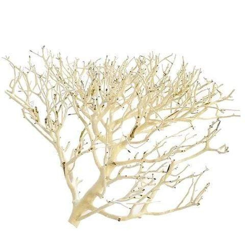 Aqua Natural Coral Wood - Aquatic Supplies Australia