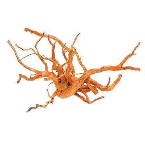 Aqua Natural Gold Vine - Aquatic Supplies Australia