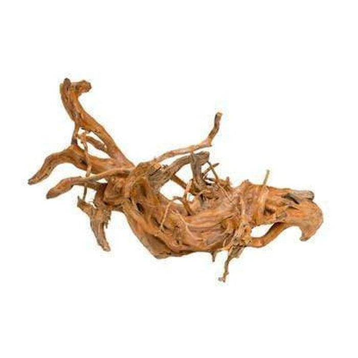 Aqua Natural Gold Vine - Aquatic Supplies Australia