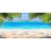 Aqua Natural Hermit Paradise Background - Aquatic Supplies Australia