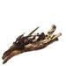 Aqua Natural Mekong River Wood - Aquatic Supplies Australia