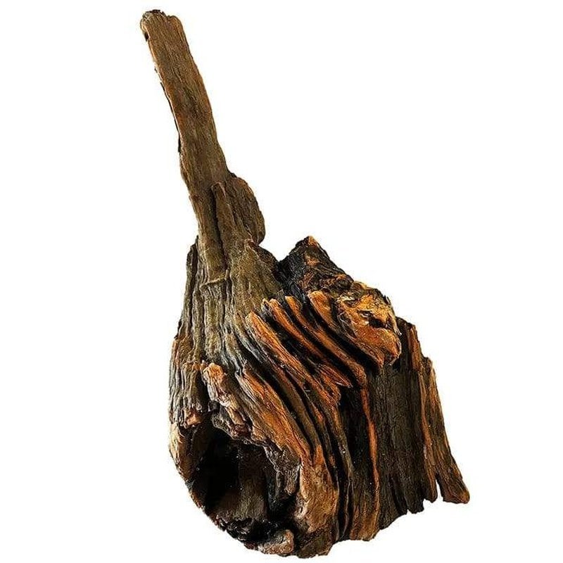 Aqua Natural New Zealand Exotic Wood - Aquatic Supplies Australia
