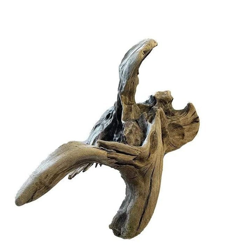Aqua Natural New Zealand Exotic Wood - Aquatic Supplies Australia