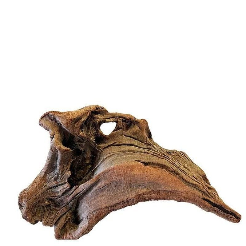 Aqua Natural New Zealand Exotic Wood - Aquatic Supplies Australia