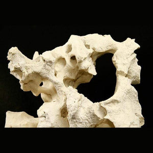 Aqua Natural Texas Holey Rock (per rock) Aquatic Supplies Australia
