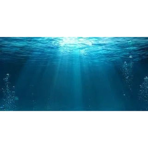 Aqua Natural Underwater Background - Aquatic Supplies Australia