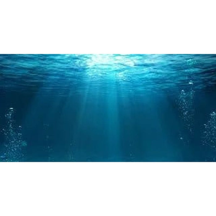 Aqua Natural Underwater Background - Aquatic Supplies Australia