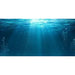 Aqua Natural Underwater Background - Aquatic Supplies Australia
