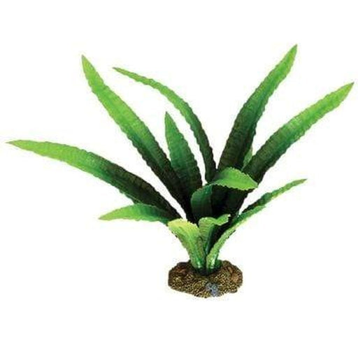 Aqua One African Onion Silk Plant - Aquatic Supplies Australia