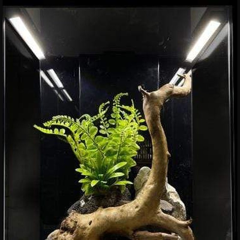 Aqua One AquaLume LED - Aquatic Supplies Australia