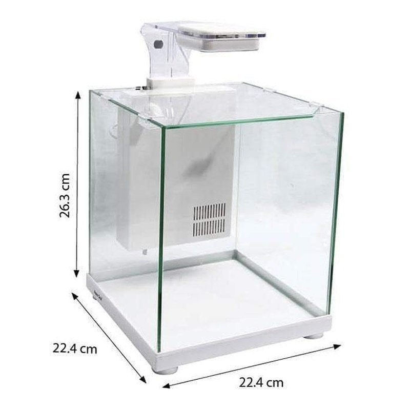 Aqua One Betta Sanctuary Glass Aquarium 10L - Aquatic Supplies Australia
