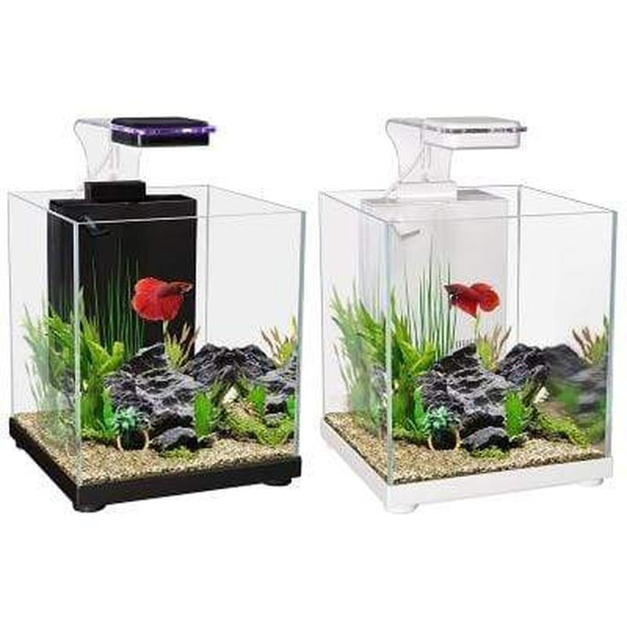 Aqua One Betta Sanctuary Glass Aquarium 10L - Aquatic Supplies Australia