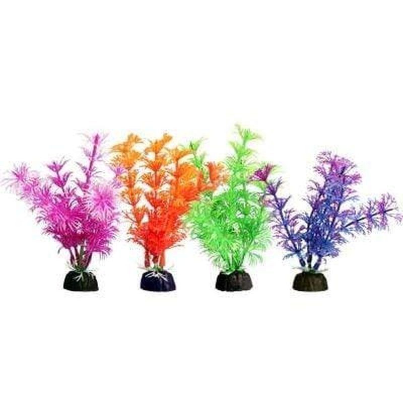 Aqua One Bettascape Betta Ambulia 14cm - Aquatic Supplies Australia