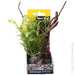 Aqua One Bettascape Spinning Grove Driftwood Green 18cm - Aquatic Supplies Australia