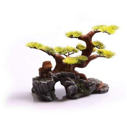 Aqua One Bonsai Large 24.5 x 17.5 x 17cm - Aquatic Supplies Australia