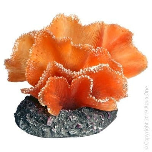 Aqua One Copi Coral Soft Kelp Brown 10.5 x 8 x 7.5cm - Aquatic Supplies Australia