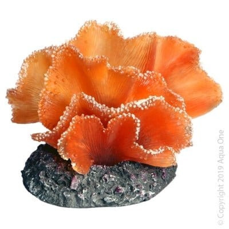Aqua One Copi Coral Soft Kelp Brown 10.5 x 8 x 7.5cm - Aquatic Supplies Australia