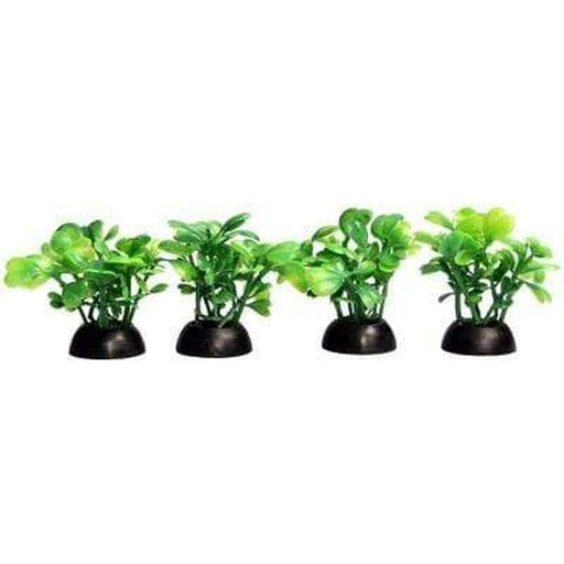 Aqua One Ecoscape Foreground Green Lobelia 5cm 4 Pack - Aquatic Supplies Australia