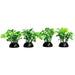 Aqua One Ecoscape Foreground Green Lobelia 5cm 4 Pack - Aquatic Supplies Australia