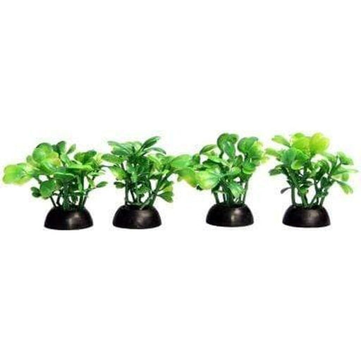 Aqua One Ecoscape Foreground Green Lobelia 5cm 4 Pack - Aquatic Supplies Australia