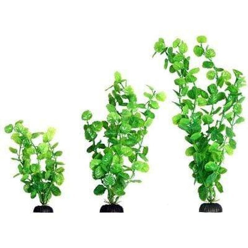 Aqua One Ecoscape Green Cardamine - Aquatic Supplies Australia