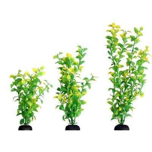 Aqua One Ecoscape Green Hygro - Aquatic Supplies Australia