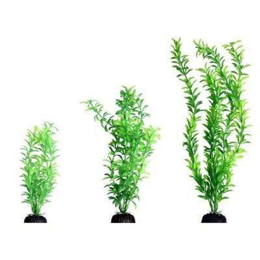 Aqua One Ecoscape Green Ludwigia - Aquatic Supplies Australia