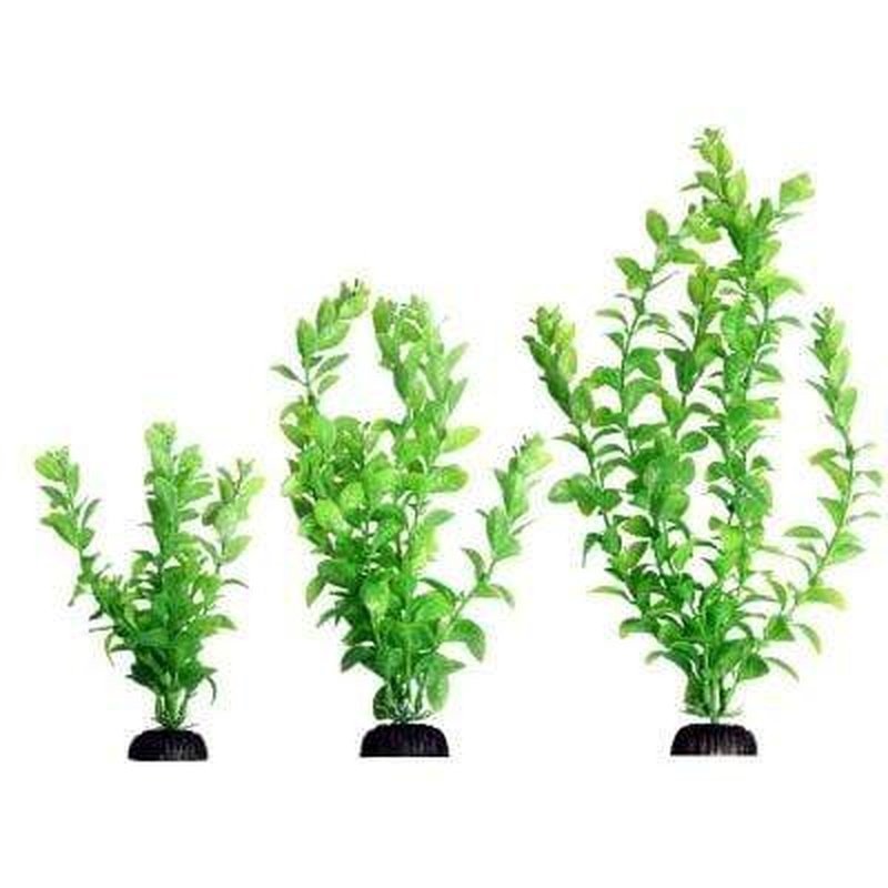Aqua One Ecoscape Green Poly Hygro 30cm - Aquatic Supplies Australia
