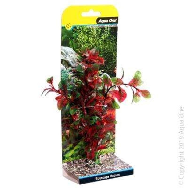 Aqua One Ecoscape Red Hygro 30cm - Aquatic Supplies Australia