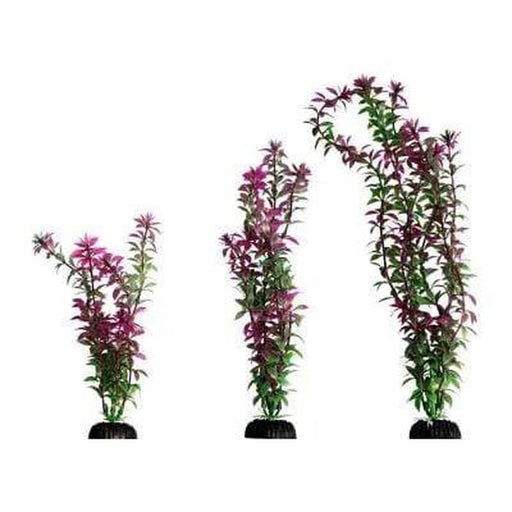 Aqua One Ecoscape Red Rotala - Aquatic Supplies Australia