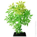 Aqua One Flexiscape Small Crystalwort Green Plants 13.5cm - Aquatic Supplies Australia