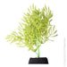 Aqua One Flexiscape Small Hydrilla Green Plant 15cm Aquatic Supplies Australia