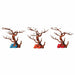 Aqua One Hermit Crab Climbing Branches and Rock - Aquatic Supplies Australia