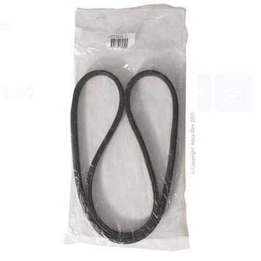 Aqua One O Ring for Pumphead - Ocellaris 3000 3000 UVC - 94154-po Aquatic Supplies Australia