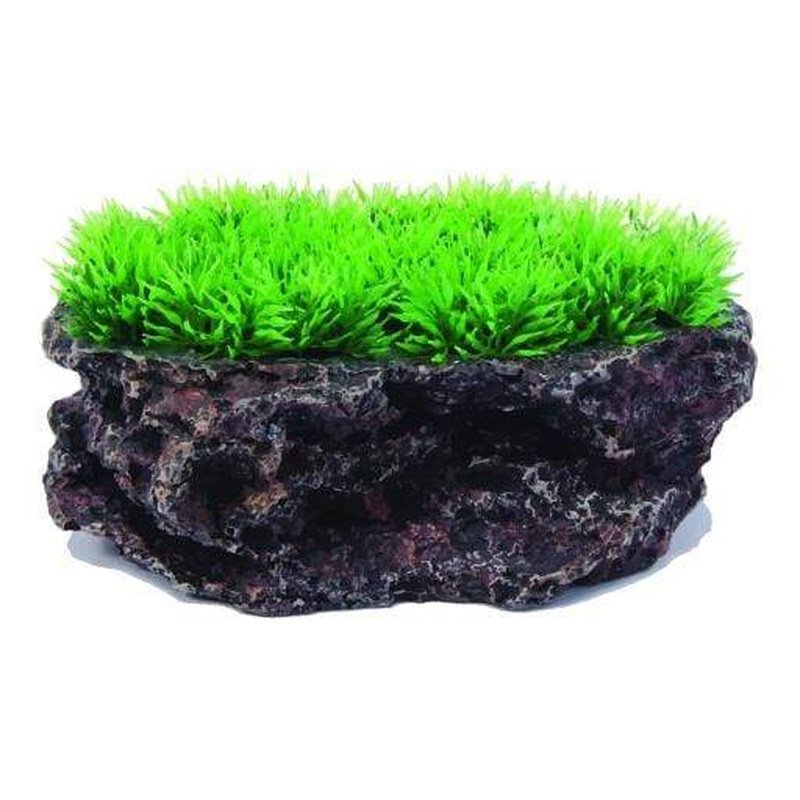 Aquatopia Flat Rock with Plant 18x13x8cm - Aquatic Supplies Australia