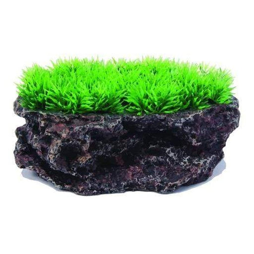 Aquatopia Flat Rock with Plant 18x13x8cm - Aquatic Supplies Australia