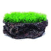 Aquatopia Flat Rock with Plant 18x13x8cm - Aquatic Supplies Australia