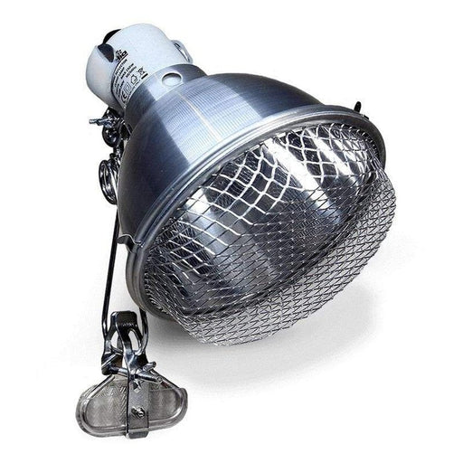 Arcadia Clamp Lamp & E27 Lampholder - Stainless - Aquatic Supplies Australia