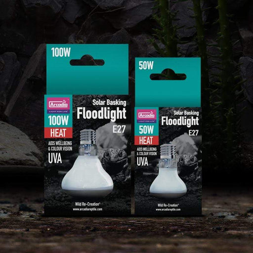 Arcadia Solar Basking Floodlight - Aquatic Supplies Australia