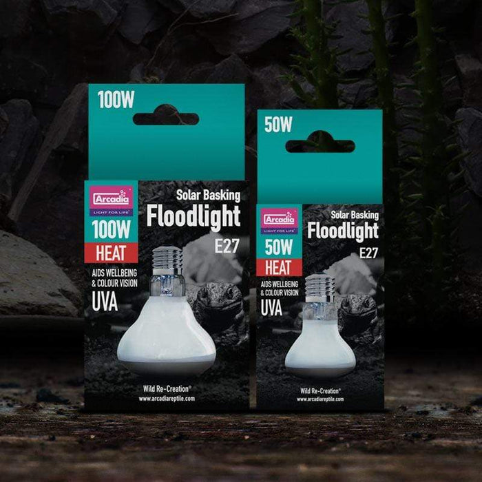 Arcadia Solar Basking Floodlight - Aquatic Supplies Australia
