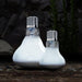 Arcadia Solar Basking Floodlight - Aquatic Supplies Australia