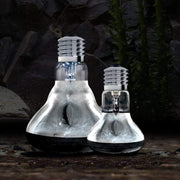 Arcadia Solar Basking Spotlight - Aquatic Supplies Australia